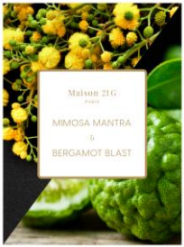iconic Best 30ml+3ml-Mimosa Mantra X Bergamot Blast